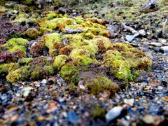 -硗碛藏寨·神木垒景区