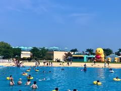 -秦皇岛乐岛海洋王国
