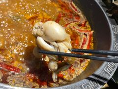 -销魂美蛙鱼头火锅(上海首店)