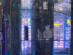 -K歌之王量贩式KTV(洪楼店)