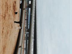 -演武大桥观景平台