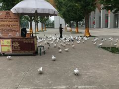 -法门文化景区