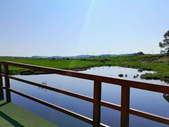 -御道口草原森林风景区