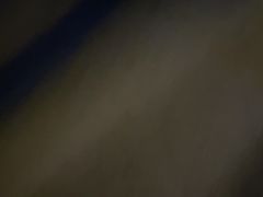 -北戴河杨肠子(联峰路店)