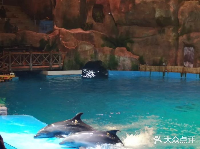 芜湖新华联大白鲸海洋公园图片