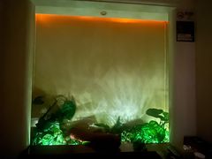 -黄金海岸水疗会所(凯利宾馆店)