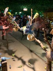 -酷嗒动物文化乐园(cutezoo西溪乐天城店)