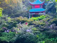 -岳麓山风景名胜区