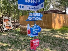 景点-森林小栈TreeStation露营基地