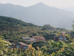 -杨梅坑
