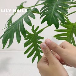 -LILY NAILS美甲美睫