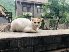 -何适山庄 ·可团建(水长城P2停车场店)