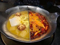 台式麻辣花胶鸡鸳鸯锅-湊湊火锅·茶憩(世博大道店)