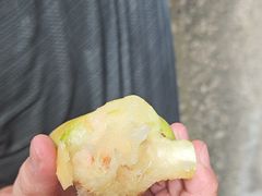 -南汇新场正宗水蜜桃采摘