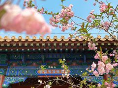 -北海公园