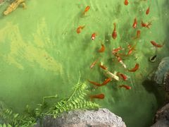 -宜兴隆家宴·私房菜(泰安华庭店)