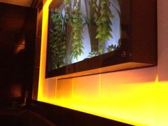 iphone_upload_pic-糖果KTV(雍和宫店)