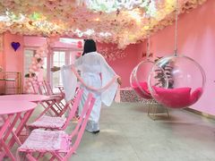 -pink baby·新晋网红打卡地