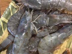 -铭记蛙小仙·活蛙畅享(CBD万达广场店)