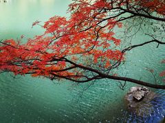 -叠溪松坪沟景区