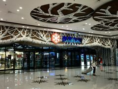 -哈尔滨热雪奇迹