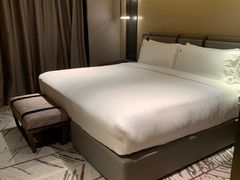 -新加坡瑞士史丹福酒店