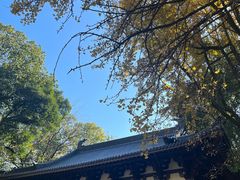 -西湖风景区十里琅珰-五云山