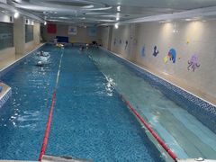 -小蓝鲸游泳培训基地(积水潭店)