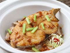 黄豆酱煮马胶鱼-华师大厦酒店·华粤轩中餐厅