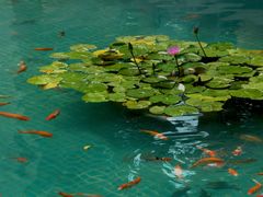 -紫海香堤香草艺术庄园
