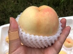 -西郊国际农产品交易中心
