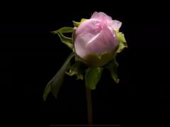 -回龙观体育文化公园