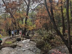 -玉渡山自然风景区