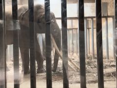 -南昌动物园