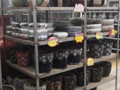 -龙大花卉苗木市场