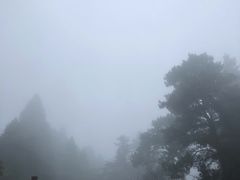 -庐山风景区花径公园