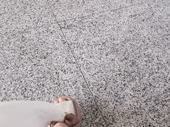 -嘉善南站