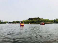 -杭州湾海上花田景区