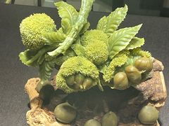 -大连自然博物馆