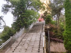 -大金鹰园