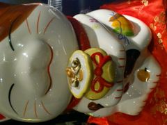 招财猫-松临·铁板烧&Omakase(神农店)