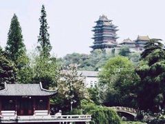 -羊山湖公园