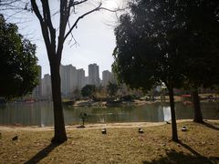 -木塔寺遗址生态公园