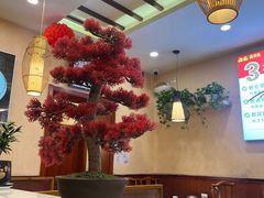 -懂羊帝·羊蝎子·北京菜(小关店)