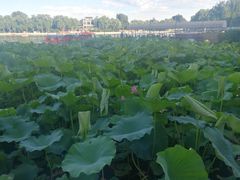 -小王府(什刹海店)