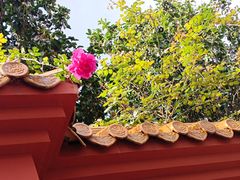 -翠湖公园
