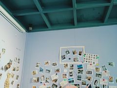 -喵屿·大理花园猫咖