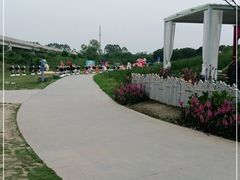 -秀丽东方