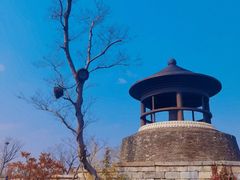 -广富林郊野公园