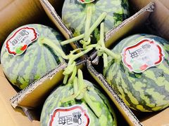 -双福水果批发市场